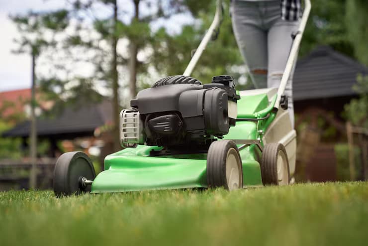 Lawn Care & Maintenance